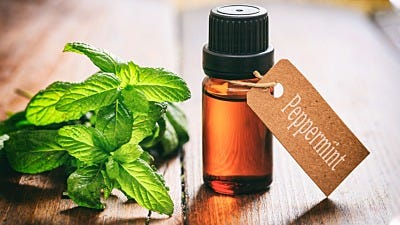Peppermint Oil Mice Repellent 