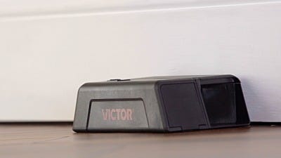 Going High Tech To Fight An Ancient Problem – Rodents!