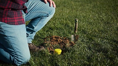 Moles & Gophers: Repellents or Poisons?