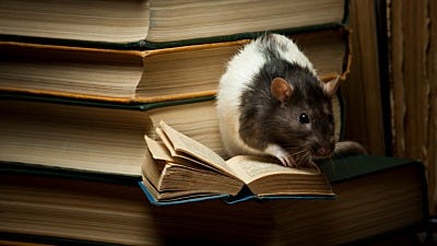 Save Schools & Campuses from Rodent Infestations