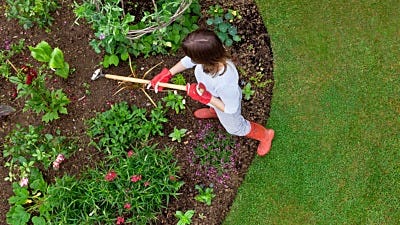 The Best Time to Prepare Your Yard Against Moles, Voles, and Gophers