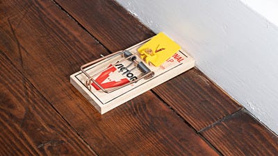 tips for trapping rats 