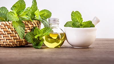 Peppermint Oil Mice Repellent 