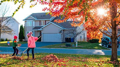 preventing rodents all year round 