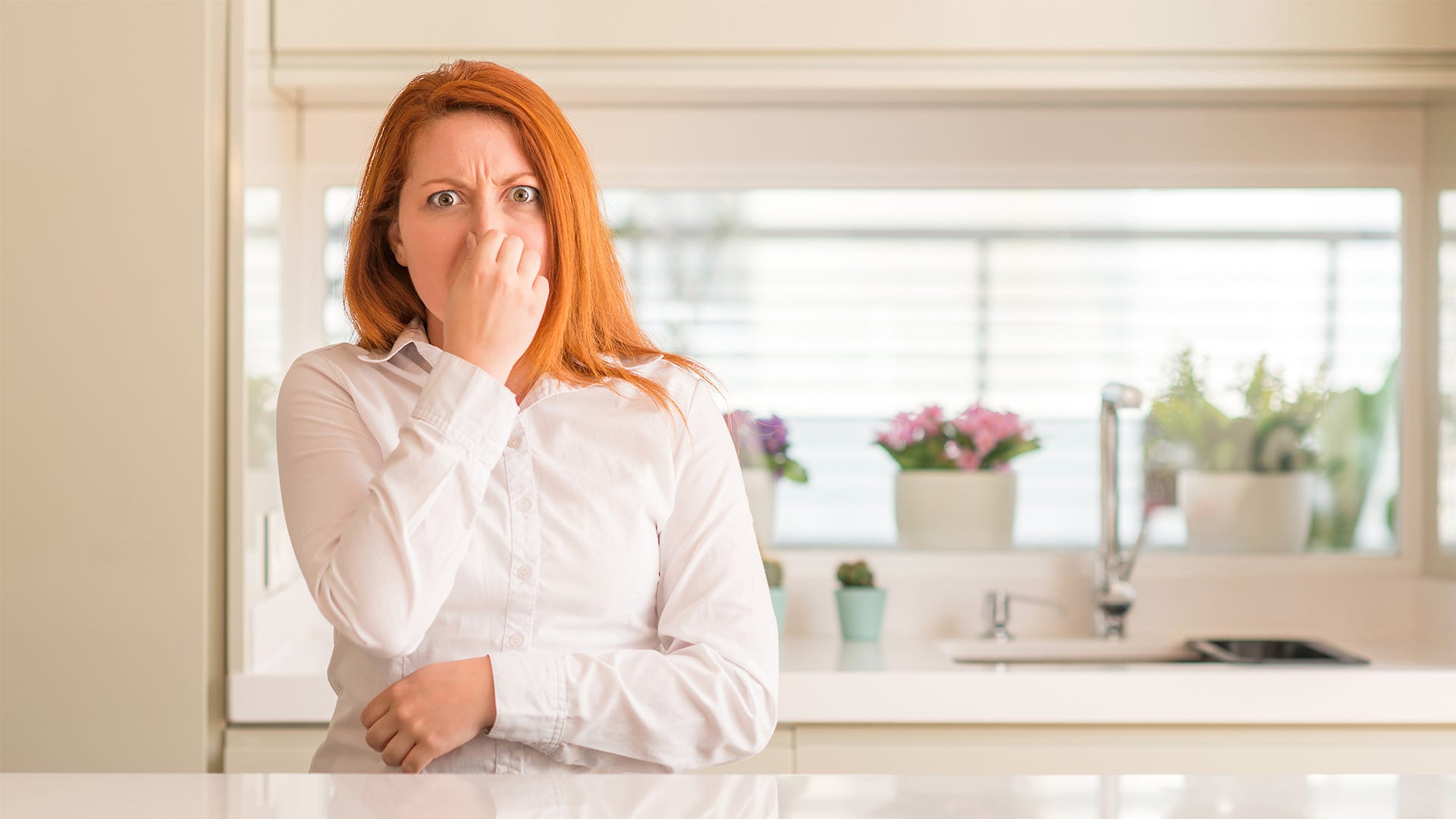 Dead Mouse Smell in Your House Eliminate dead mouse and smell