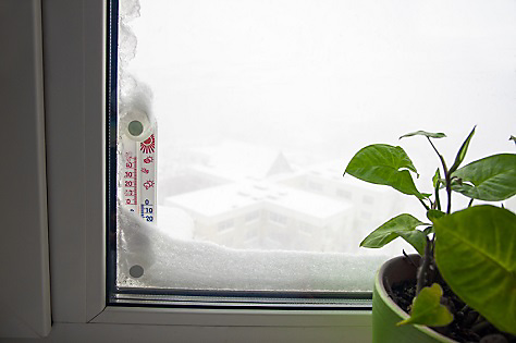 preparing your home for winter - plant by window with snow on it