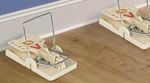 The Best Mouse Trap Method