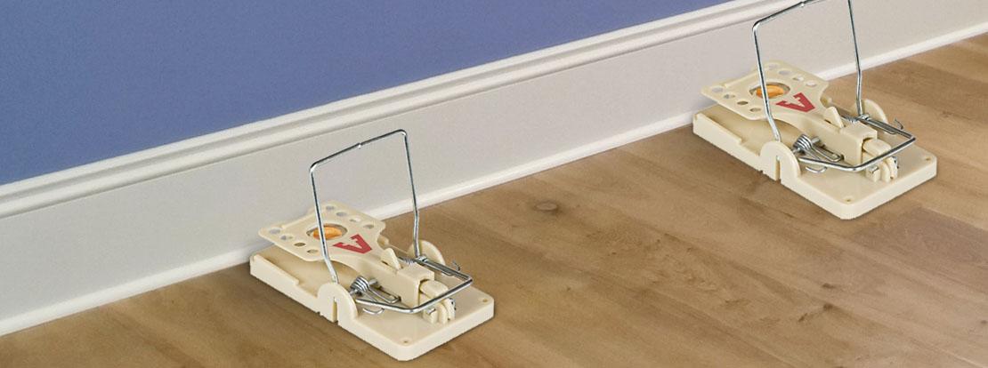 Common Mousetrap Mistakes - ABC Termite & Pest Control