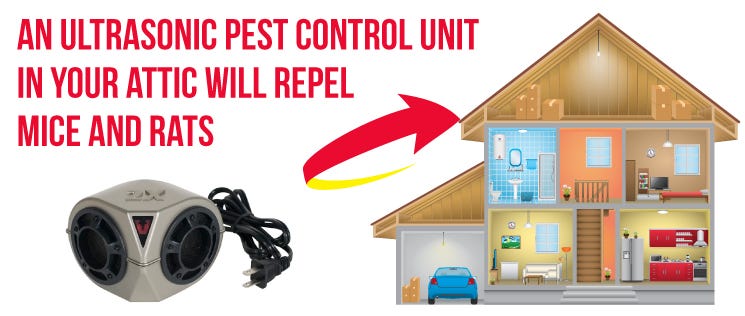 DIY Pest Control 2