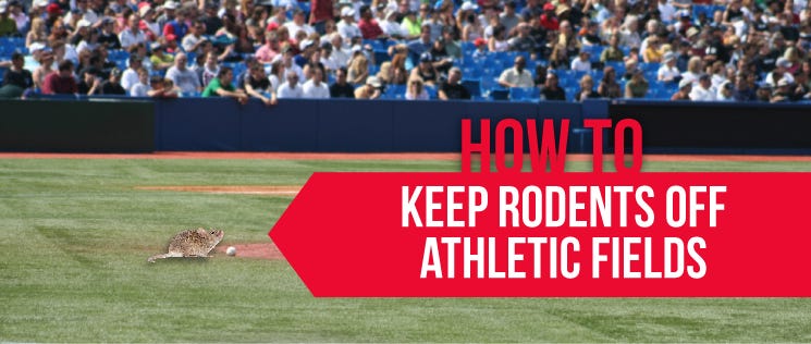 Keep Rodents off Athletic Fields