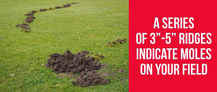 Moles on Your Field Moles on Your Field