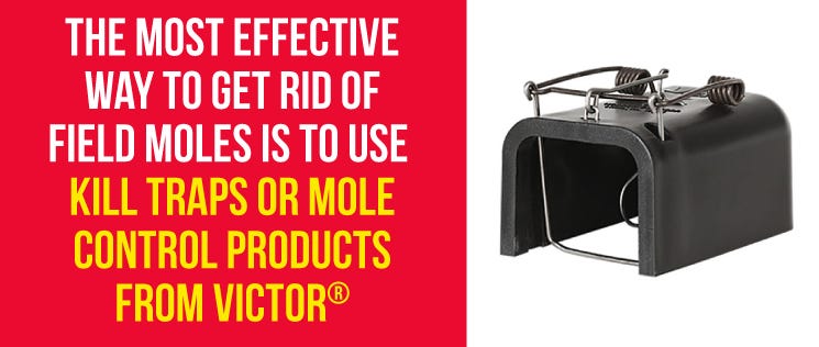 Get Rid of Moles With Victor Products