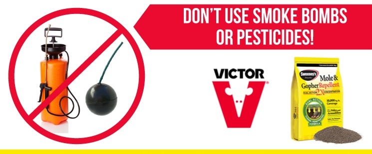Don't Use Smoke Bombs or Pesticides Don't Use Smoke Bombs or Pesticides