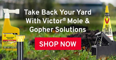 Take Back Your Yard with Victor Mole & Gopher Solutions