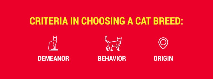 What to look for in a mouser What to look for in a mouser