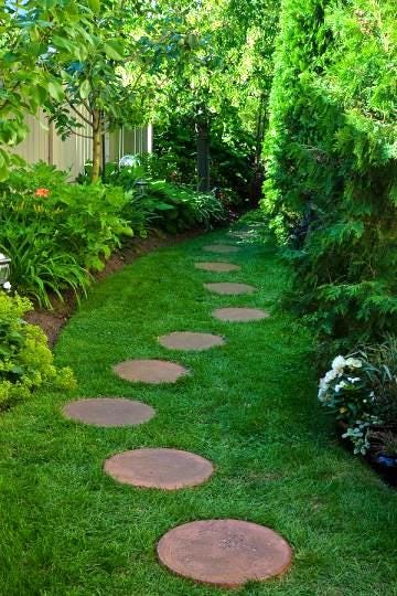 Perfect Lawn Tips - Mole & Gopher solutions Perfect Lawn Tips - Mole & Gopher solutions