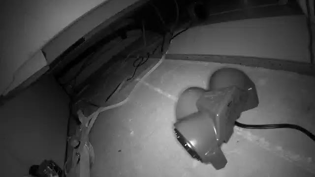 A real photo of  Victor® Ultra PestChaser® Ultrasonic Rodent Repeller by John B. (1)