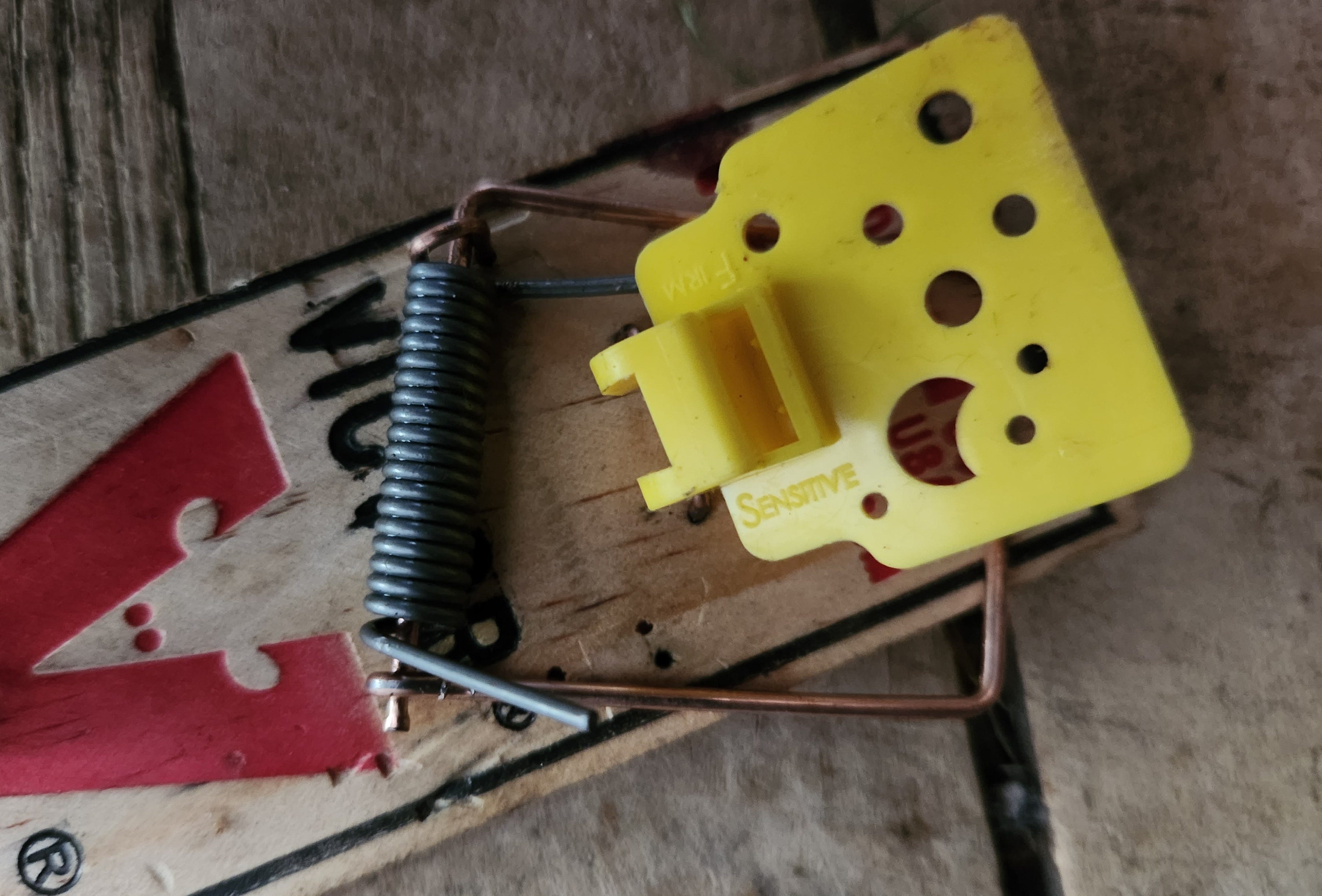 A real photo of Victor® Wide Pedal Mouse Trap by DB (1)