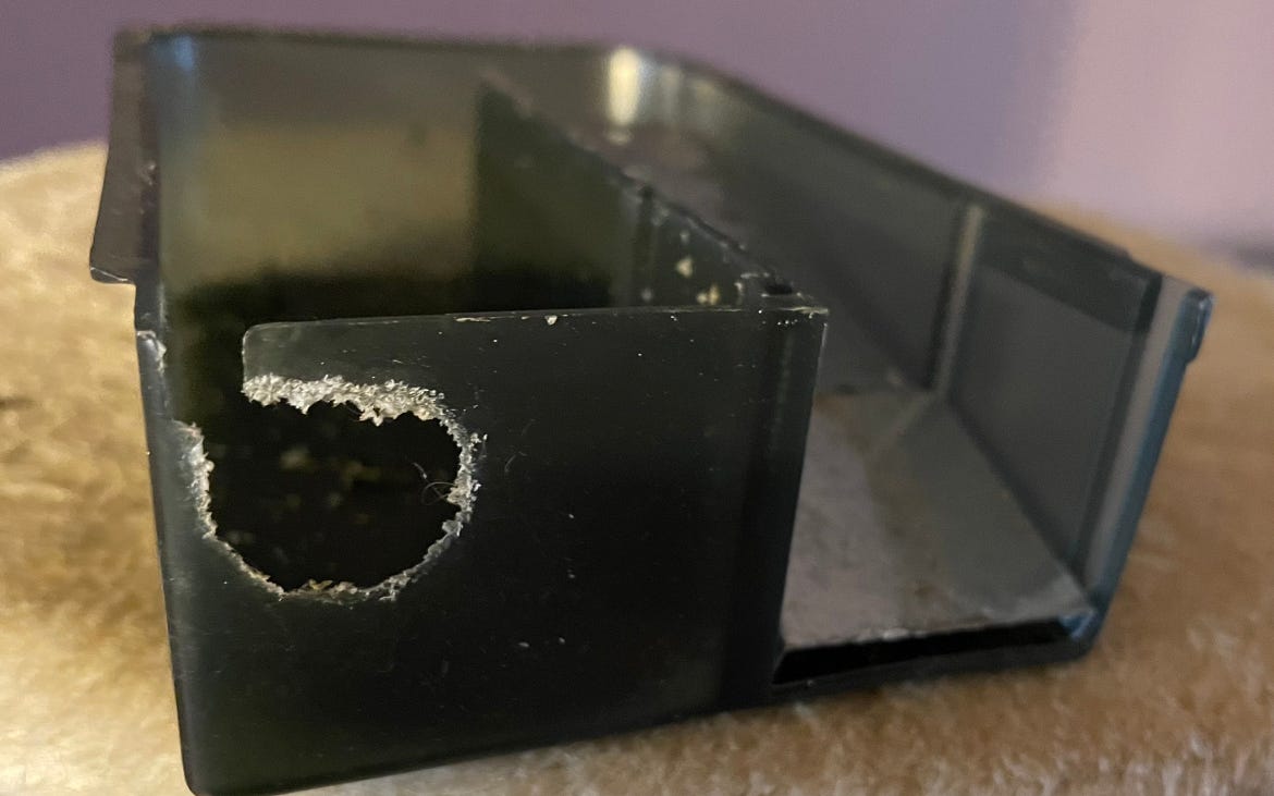 A real photo of Victor® Catch & Hold™ Humane Outdoor and Indoor Mouse Trap by MrG (1)