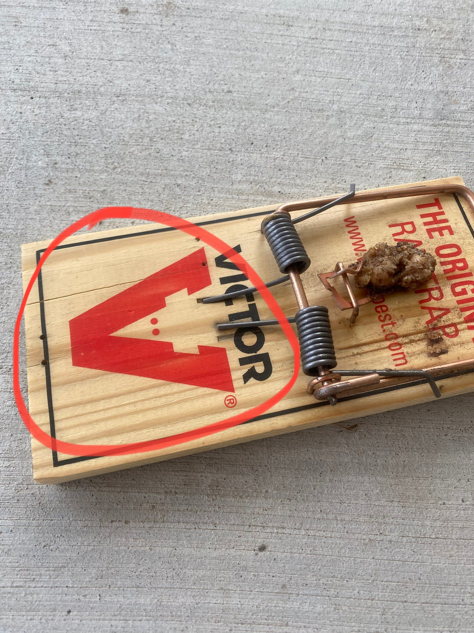 A real photo of Victor® Metal Pedal Rat Trap by Sactownjag (1)
