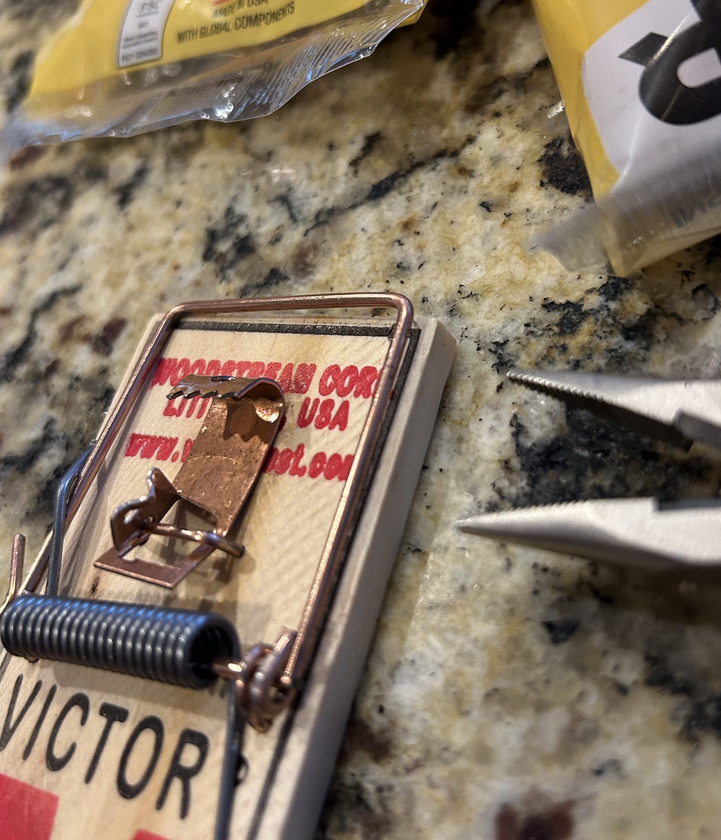 A real photo of Victor® Metal Pedal Mouse Trap by Harry  (1)