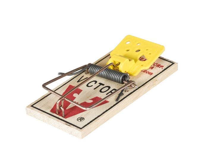 Victor® Wide Pedal Mouse Trap