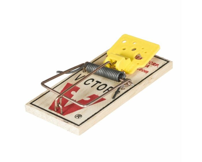 Victor® Wide Pedal Mouse Trap -2 Pack
