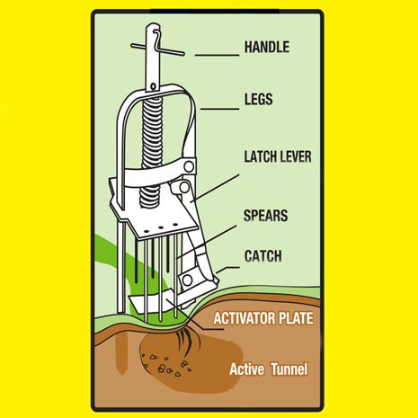 Set the victor mole trap