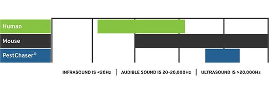 High-Frequency Sound Repels Mice & Rats