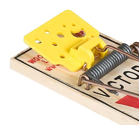 Expanded Trigger Plate