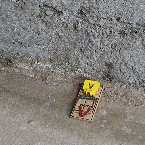 Case of Easy Set® Mouse Traps