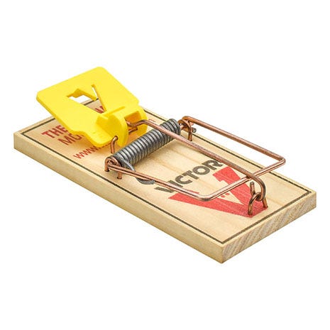 Wide Pedal Mouse Trap