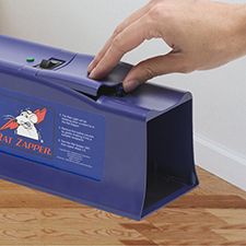 Step 2: Insert Batteries