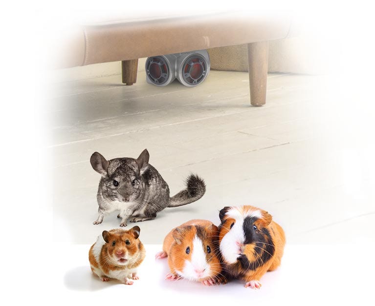 A mouse, guinea pigs, and other animals distressed from the sound made by the Pestchaser