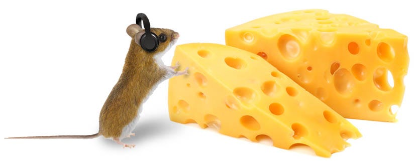 Mouse with Cheese