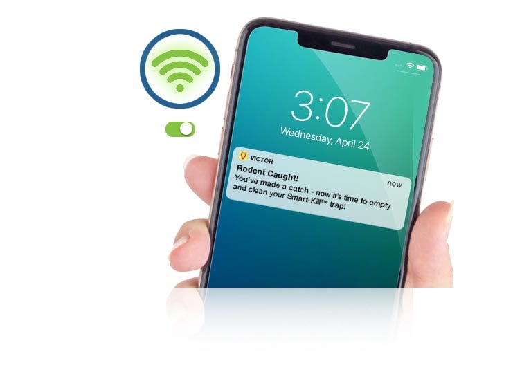 Phone with wifi on, showing notifications