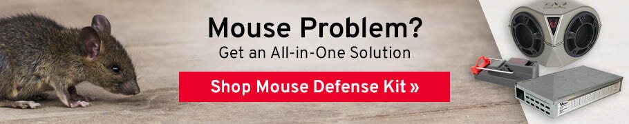 Mouse Problem? Get an All-In-One Solution!