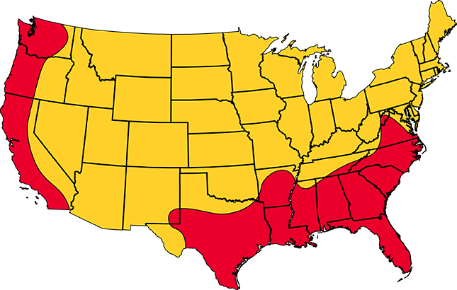 Identify Rat By Region