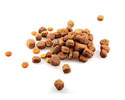 Pet Food