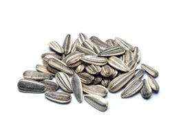 Sunflower Seeds