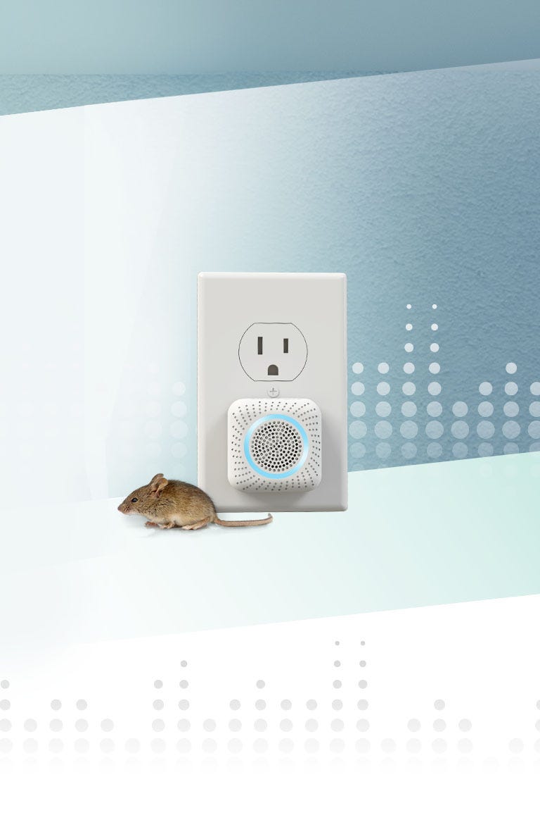 A mouse, and an outlet with a Victor PestChaser plugged in