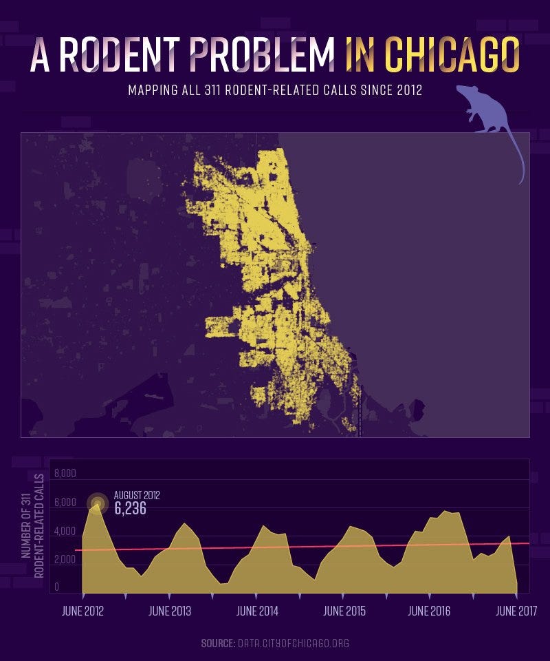 A Rodent Problem in Chicago