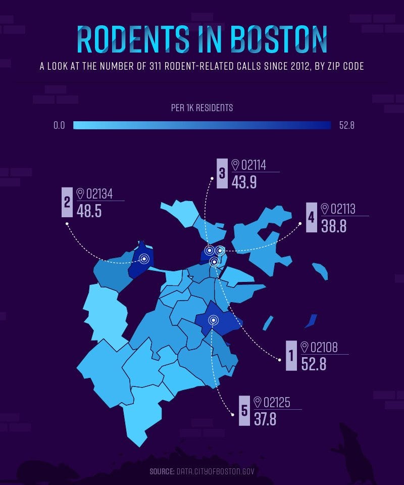 Rodents in Boston