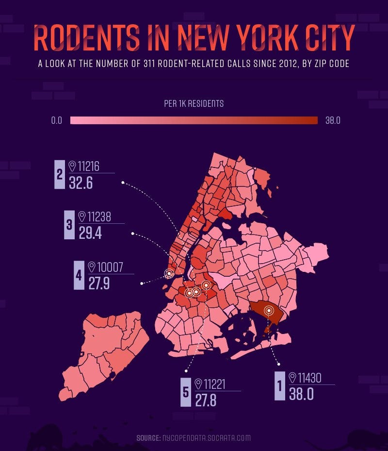 Rodents in New York City
