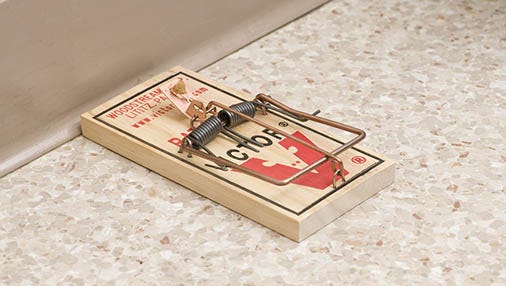 7 Mouse Trap Mistakes You’re Making