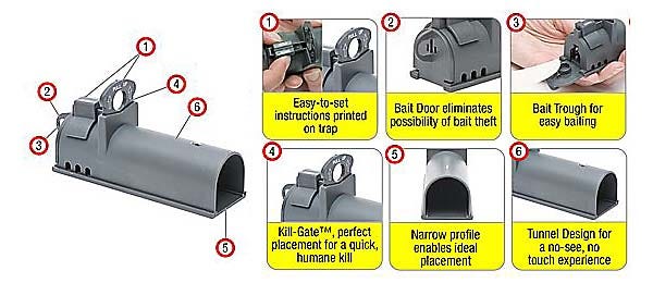 Clean-Kill Features